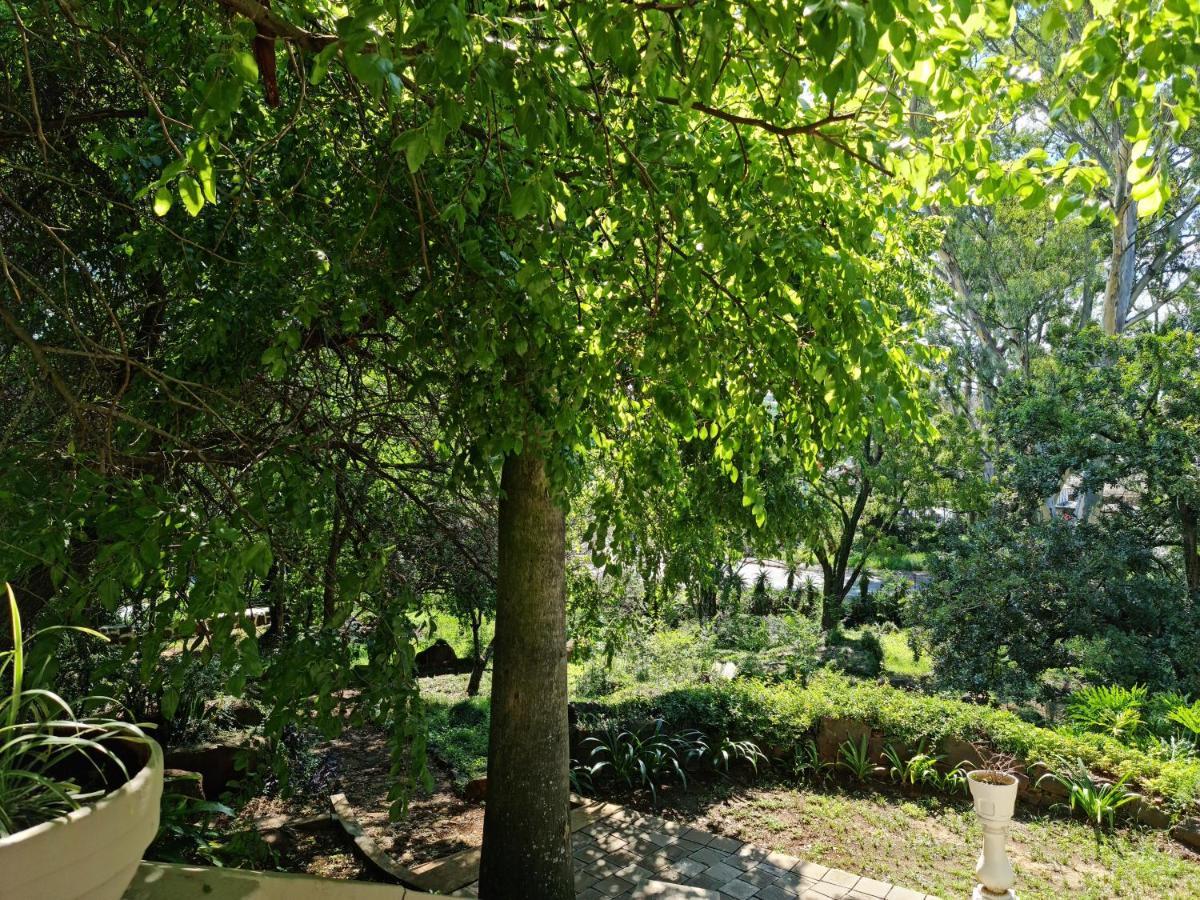 Peaches & Cream Bed & Breakfast Ladysmith Εξωτερικό φωτογραφία